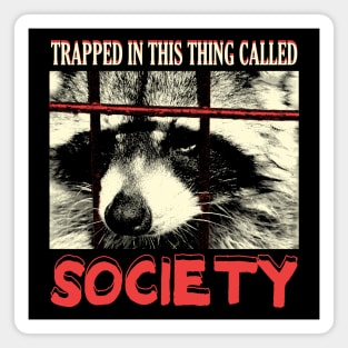 Society Raccoon Magnet